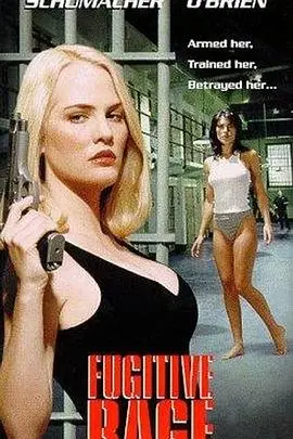 《执法精英》：当黑色幽默遇上硬核警匪，结局反转简直绝了！