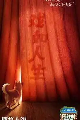 《向往的生活 第八季》：回归田园，治愈身心，感受慢生活的乐趣！